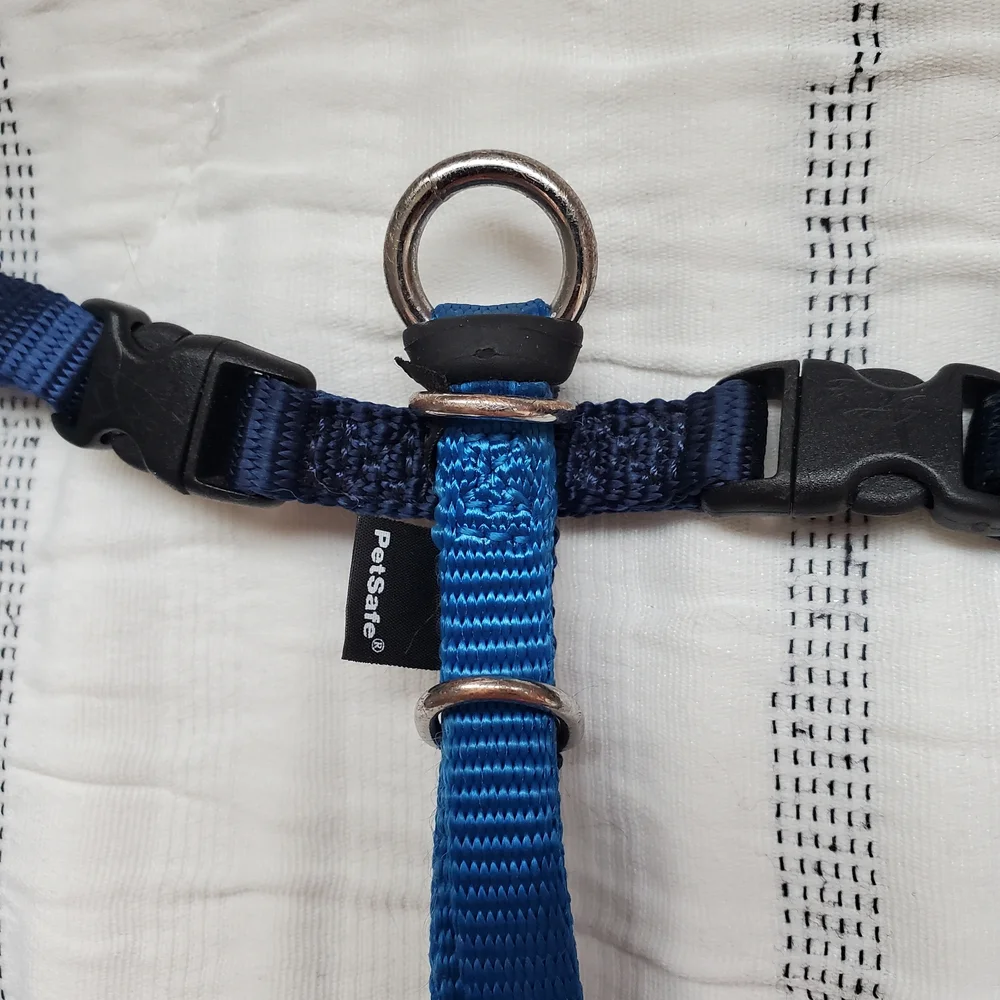 Pet Safe Blue Cat Harness & Leash Set XL